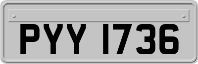 PYY1736