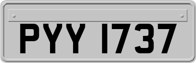PYY1737