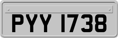 PYY1738