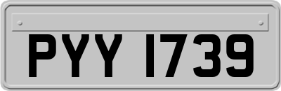 PYY1739