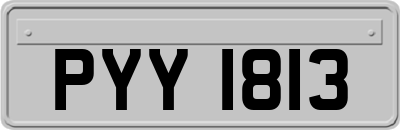 PYY1813