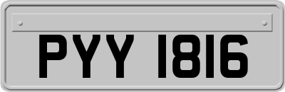 PYY1816