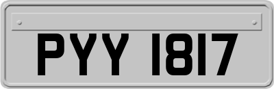 PYY1817