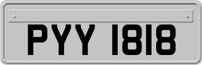 PYY1818