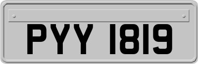 PYY1819