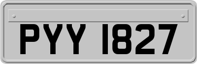 PYY1827