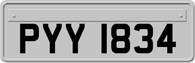 PYY1834