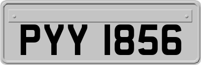 PYY1856