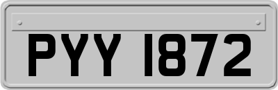 PYY1872