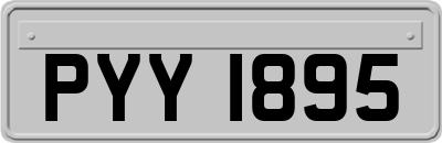 PYY1895