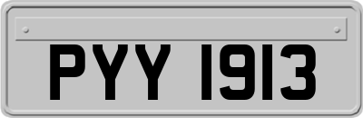 PYY1913