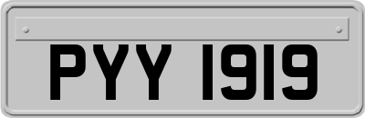 PYY1919