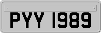 PYY1989