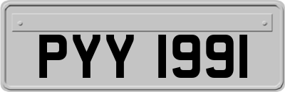 PYY1991