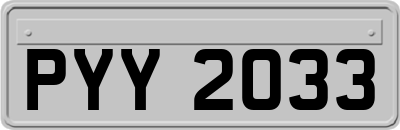 PYY2033