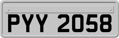 PYY2058