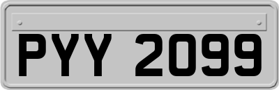 PYY2099