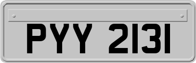PYY2131