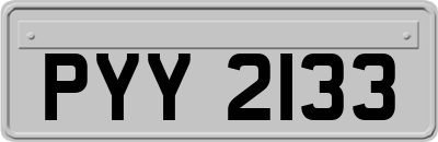 PYY2133