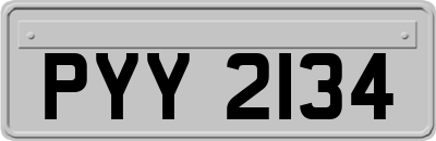 PYY2134