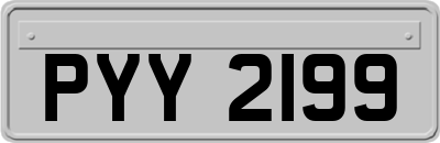 PYY2199