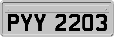 PYY2203