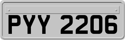PYY2206