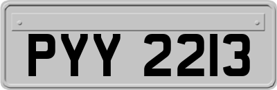 PYY2213