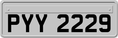 PYY2229