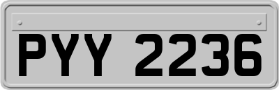 PYY2236