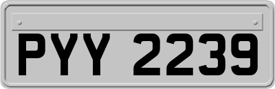 PYY2239