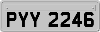PYY2246