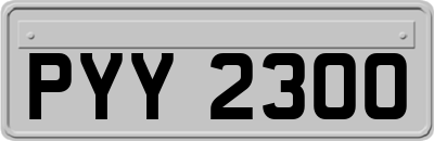 PYY2300