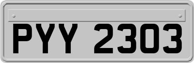 PYY2303