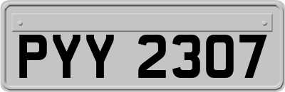 PYY2307