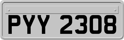 PYY2308