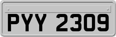 PYY2309