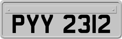 PYY2312