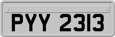 PYY2313