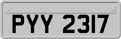 PYY2317