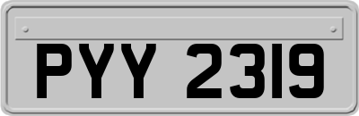 PYY2319
