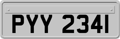 PYY2341