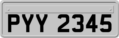 PYY2345