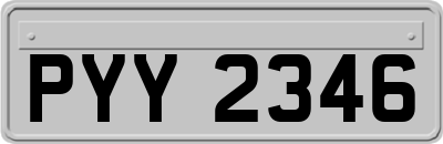 PYY2346