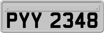 PYY2348