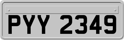 PYY2349