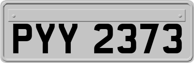PYY2373