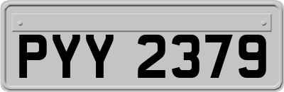 PYY2379