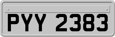 PYY2383