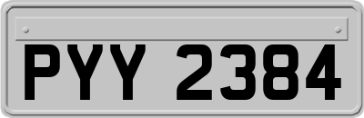 PYY2384